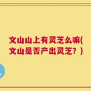 文山山上有灵芝么嘛(文山是否产出灵芝？)