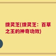 拨灵芝(拨灵芝：百草之王的神奇功效)