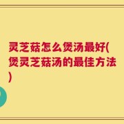 灵芝菇怎么煲汤最好(煲灵芝菇汤的最佳方法)