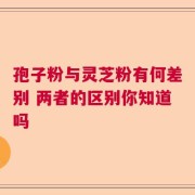 孢子粉与灵芝粉有何差别 两者的区别你知道吗
