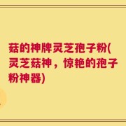 菇的神牌灵芝孢子粉(灵芝菇神，惊艳的孢子粉神器)