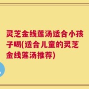 灵芝金线莲汤适合小孩子喝(适合儿童的灵芝金线莲汤推荐)