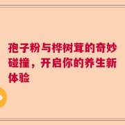 孢子粉与桦树茸的奇妙碰撞，开启你的养生新体验