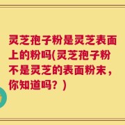 灵芝孢子粉是灵芝表面上的粉吗(灵芝孢子粉不是灵芝的表面粉末，你知道吗？)
