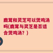 鹿茸和灵芝可以煲鸡汤吗(鹿茸与灵芝是否适合煲鸡汤?)