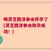 喝灵芝西洋参水怀孕了(灵芝西洋参水助孕成功！)