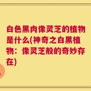 白色黑肉像灵芝的植物是什么(神奇之白黑植物：像灵芝般的奇妙存在)