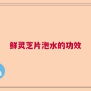 鲜灵芝片泡水的功效