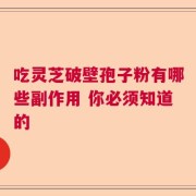 吃灵芝破壁孢子粉有哪些副作用 你必须知道的