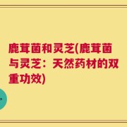 鹿茸菌和灵芝(鹿茸菌与灵芝：天然药材的双重功效)