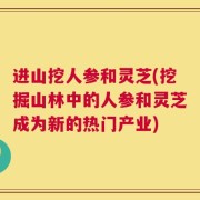进山挖人参和灵芝(挖掘山林中的人参和灵芝成为新的热门产业)