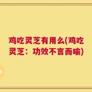鸡吃灵芝有用么(鸡吃灵芝：功效不言而喻)