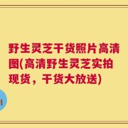 野生灵芝干货照片高清图(高清野生灵芝实拍现货，干货大放送)