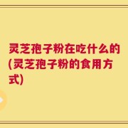 灵芝孢子粉在吃什么的(灵芝孢子粉的食用方式)