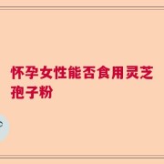 怀孕女性能否食用灵芝孢子粉
