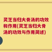 灵芝当归大骨汤的功效和作用(灵芝当归大骨汤的功效与作用简述)