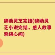 魏勋灵芝完结(魏勋灵芝小说完结，感人故事萦绕心间)