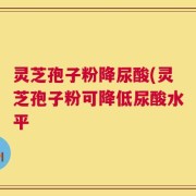 灵芝孢子粉降尿酸(灵芝孢子粉可降低尿酸水平