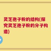 灵芝孢子粉的结构(探究灵芝孢子粉的分子构造)