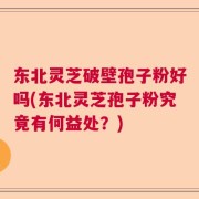 东北灵芝破壁孢子粉好吗(东北灵芝孢子粉究竟有何益处？)