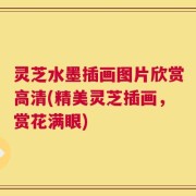 灵芝水墨插画图片欣赏高清(精美灵芝插画，赏花满眼)