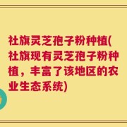 社旗灵芝孢子粉种植(社旗现有灵芝孢子粉种植，丰富了该地区的农业生态系统)