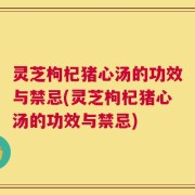 灵芝枸杞猪心汤的功效与禁忌(灵芝枸杞猪心汤的功效与禁忌)