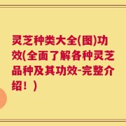 灵芝种类大全(图)功效(全面了解各种灵芝品种及其功效-完整介绍！)