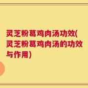 灵芝粉葛鸡肉汤功效(灵芝粉葛鸡肉汤的功效与作用)