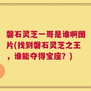 磐石灵芝一哥是谁啊图片(找到磐石灵芝之王，谁能夺得宝座？)