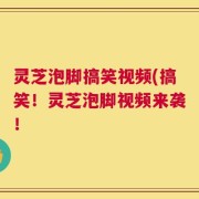 灵芝泡脚搞笑视频(搞笑！灵芝泡脚视频来袭！