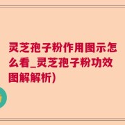 灵芝孢子粉作用图示怎么看_灵芝孢子粉功效图解解析)