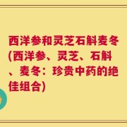 西洋参和灵芝石斛麦冬(西洋参、灵芝、石斛、麦冬：珍贵中药的绝佳组合)