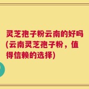 灵芝孢子粉云南的好吗(云南灵芝孢子粉，值得信赖的选择)