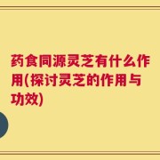 药食同源灵芝有什么作用(探讨灵芝的作用与功效)