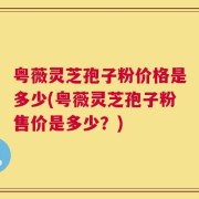 粤薇灵芝孢子粉价格是多少(粤薇灵芝孢子粉售价是多少？)
