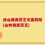 进山偶遇灵芝文案简短(山林偶遇灵芝)