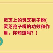 灵芝上的灵芝孢子粉(灵芝孢子粉的功效和作用，你知道吗？)