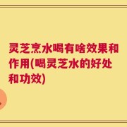灵芝烹水喝有啥效果和作用(喝灵芝水的好处和功效)