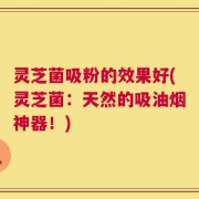 灵芝菌吸粉的效果好(灵芝菌：天然的吸油烟神器！)