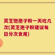 灵芝饱孢子粉一天吃几次(灵芝孢子粉建议每日分次食用)