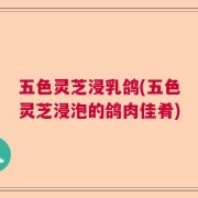 五色灵芝浸乳鸽(五色灵芝浸泡的鸽肉佳肴)