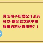 灵芝孢子粉搭配什么药材吃(搭配灵芝孢子粉服用的药材有哪些？)