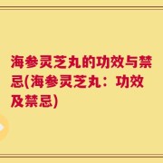 海参灵芝丸的功效与禁忌(海参灵芝丸：功效及禁忌)