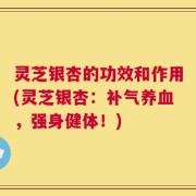 灵芝银杏的功效和作用(灵芝银杏：补气养血，强身健体！)
