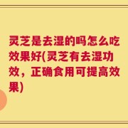 灵芝是去湿的吗怎么吃效果好(灵芝有去湿功效，正确食用可提高效果)