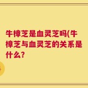 牛樟芝是血灵芝吗(牛樟芝与血灵芝的关系是什么？