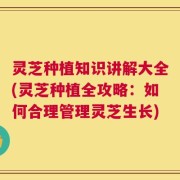 灵芝种植知识讲解大全(灵芝种植全攻略：如何合理管理灵芝生长)