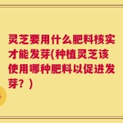 灵芝要用什么肥料核实才能发芽(种植灵芝该使用哪种肥料以促进发芽？)