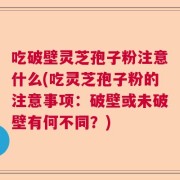 吃破壁灵芝孢子粉注意什么(吃灵芝孢子粉的注意事项：破壁或未破壁有何不同？)